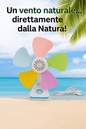 Box ventilatore per estivo