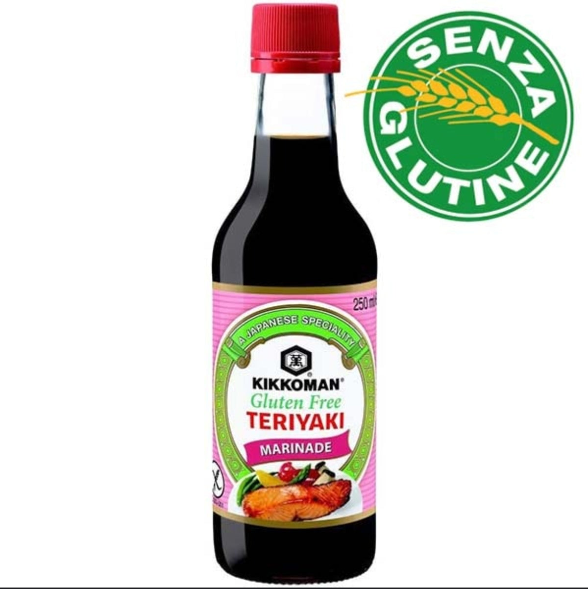 Teriyaki senza glutine